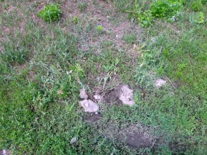DSC00385-001