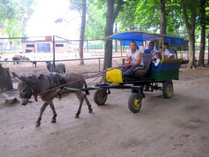 IMG_4377
