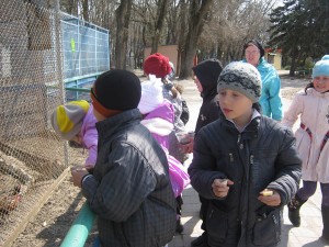 IMG_6141